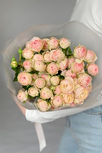 9 кустовых роз Грандмас Файнес Кэти - 676509066231