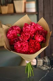 Пионы нежно-розовые в крафте 9шт 217480939911