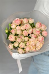 9 кустовых роз Грандмас Файнес Кэти - 676509066231