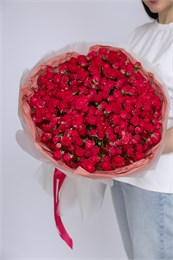 51 кустовая роза Черри Хеопс 2268