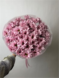 Букет кустовые хризантемы Baby Sweet 2336_D18C3