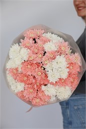 Большой букет кустовых хризантем микс 1 2362