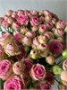 Букет из 21 кустовой розы 2342 - фото 8505